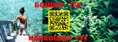 стаф Новозыбков