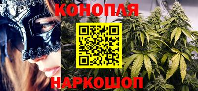 стаф Новозыбков