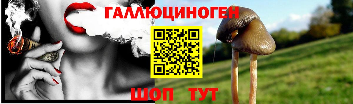 Галлюциногенные грибы Cubensis Сафоново
